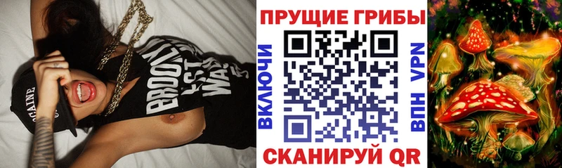 Галлюциногенные грибы мицелий kraken вход Губкин