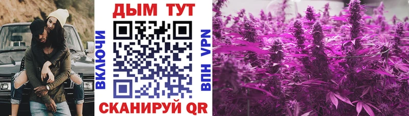 Бошки Шишки индика  Губкин 
